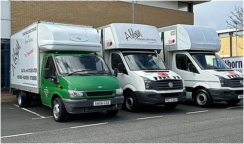 Abbey 3 Vans New 23-2222
