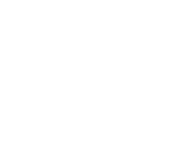 Domestic Removals Icon